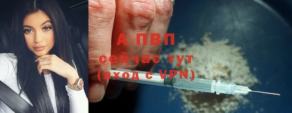 мяу мяу мука Михайлов