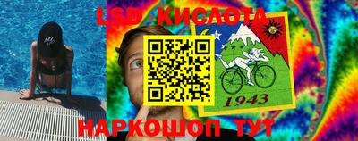 дживик Бийск