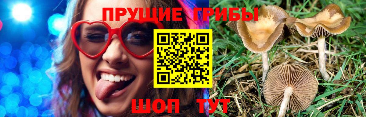 Галлюциногенные грибы ЛСД Каспийск