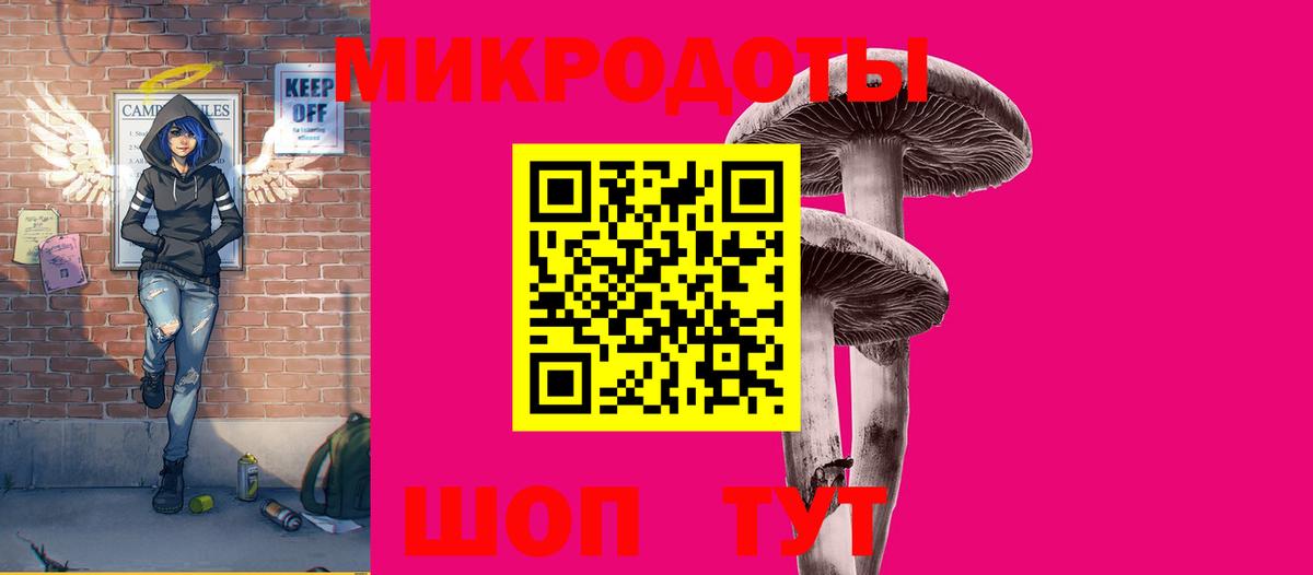 Псилоцибиновые грибы Cubensis Каспийск